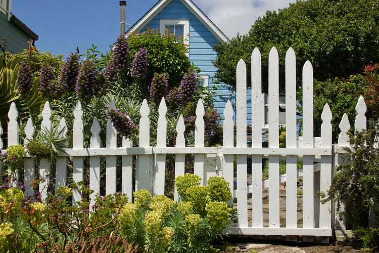 Picket Fencing 4